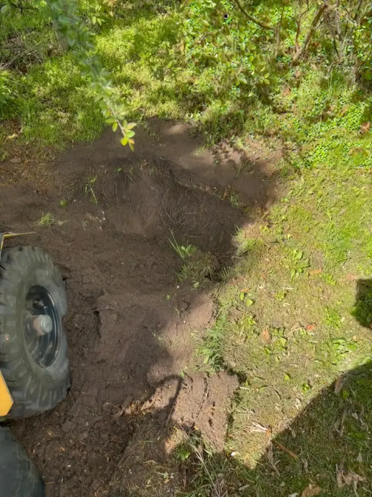 Rodfræsning projekt for kunde i Dronningmølle, hvor større rødder og stubrester er fjernet fra græsområde for at klargøre jorden til ny beplantning, græs eller haveprojekt.